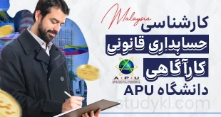 کارشناسی حسابداری و مالی گرایش حسابداری قانونی/کارآگاهی در دانشگاه APU