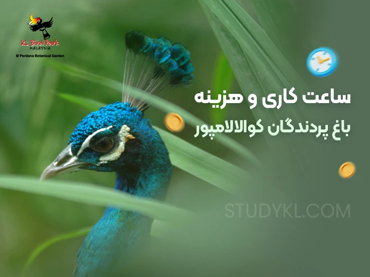 ساعت کاری و هزینه باغ پردندگان کوالالامپور