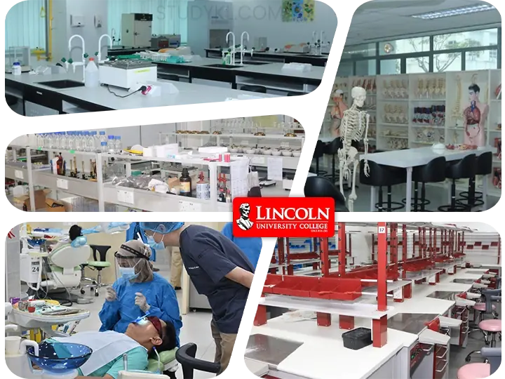 دانشکده های دانشگاه لینکلن